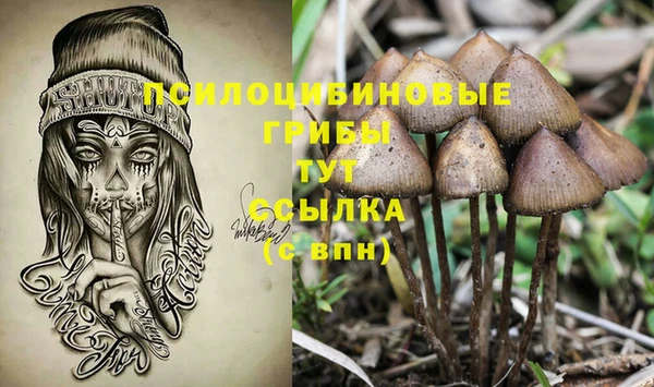 кокаин Алексеевка