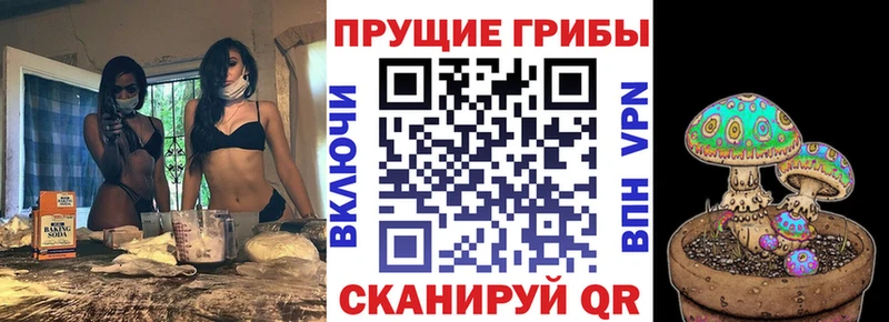 Галлюциногенные грибы прущие грибы  Карачев 